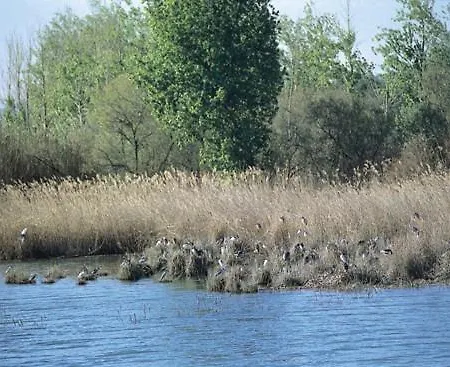 Lejlighed Dos Torres Aragorn - El Burgo de Ebro