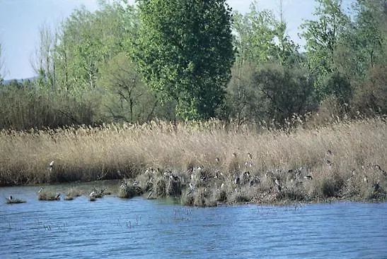 Lejlighed Dos Torres Aragorn - El Burgo de Ebro